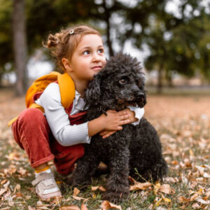 Portrait of a cute little 3 years old girl with her poodle dog. Little girl hugging her dog while standing in a colorful autumn public park.
